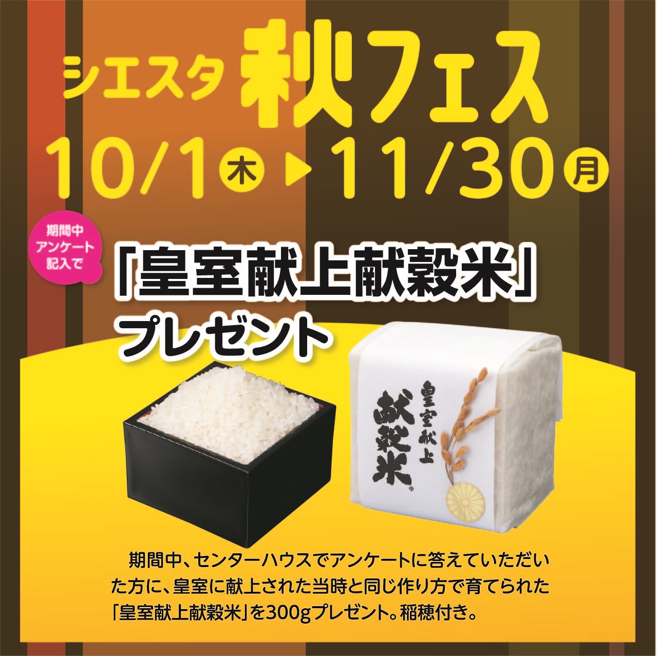 11月1日(日)～11月30日(月) シエスタ秋フェス