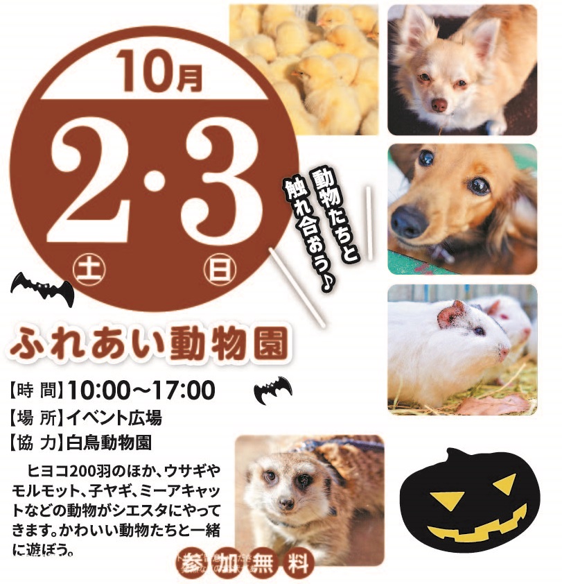 10月2日(土)3日(日) ふれあい動物園