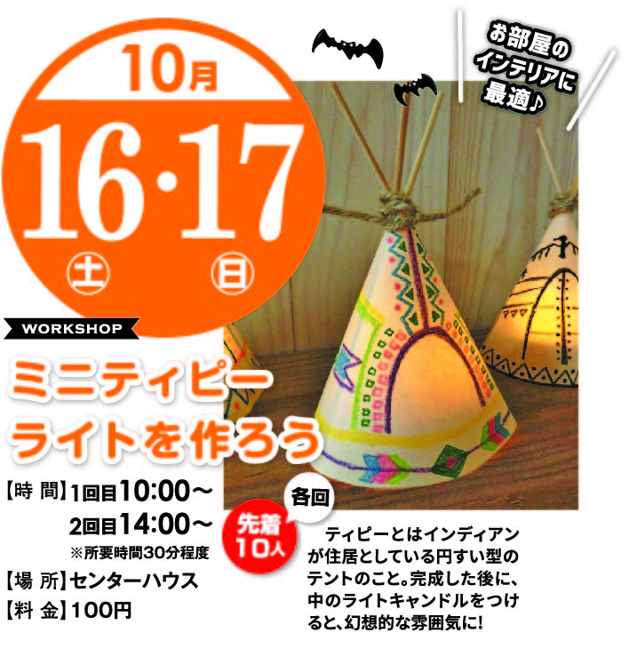 10月16日(土)17日(日) ミニティピーライトを作ろう!