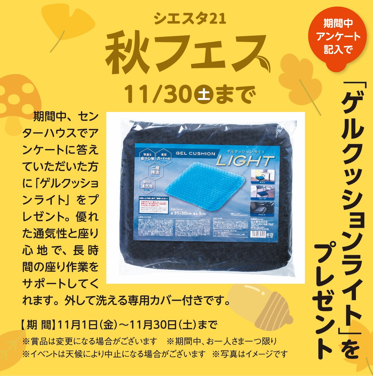 11月1日(金)～11月30日(土) 秋フェス