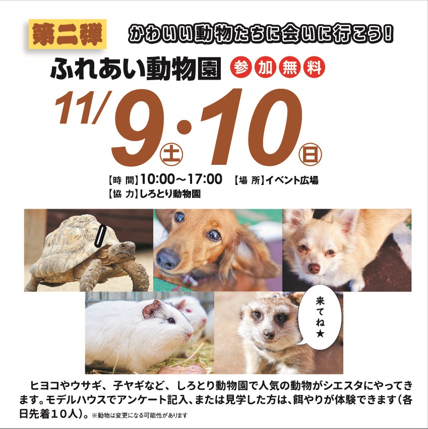 11月9日(土)・10日(日) ふれあい動物園