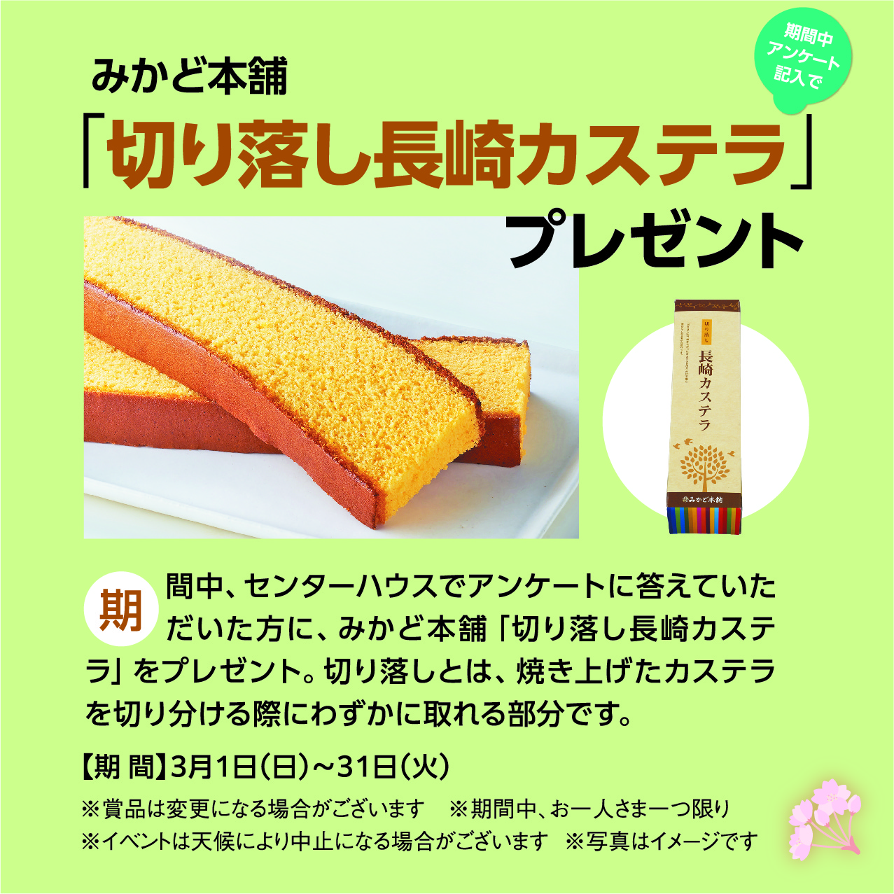 3月1日(日)～31日(火) スプリングキャンペーン