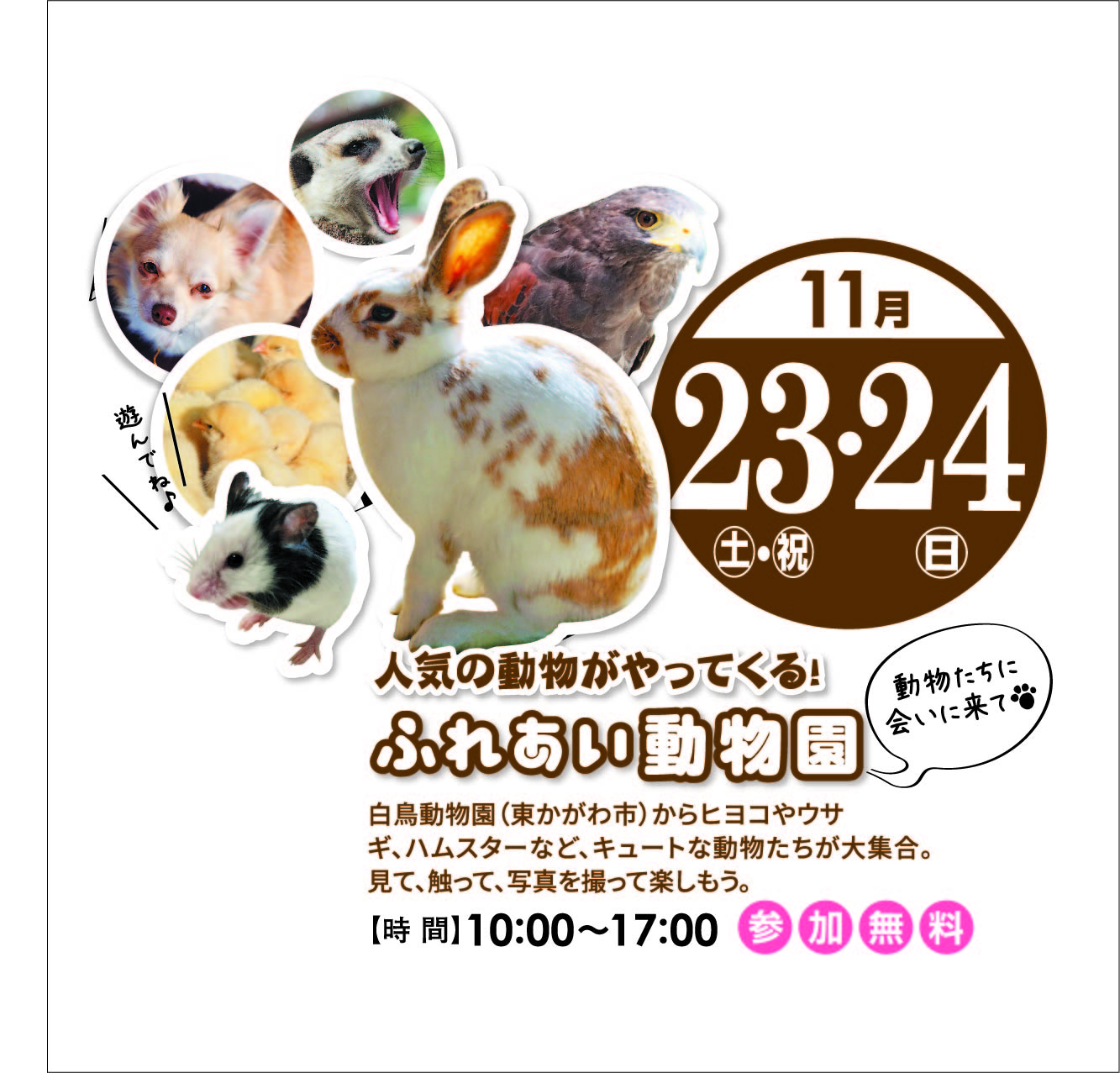 11月23日(土)・24日(日) ふれあい動物園