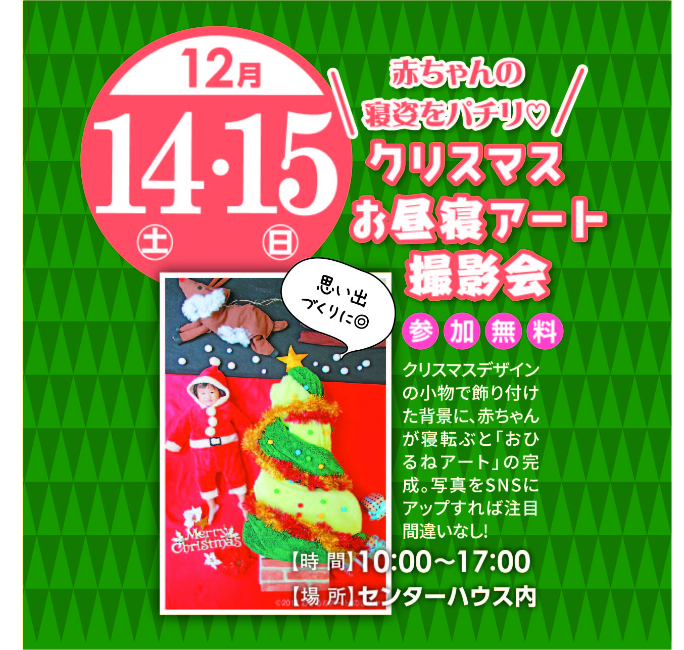 12月14日(土)・15日(日) クリスマスお昼寝アート撮影会