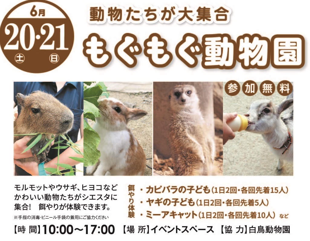 6月20日(土)・21日(日) もぐもぐ動物園